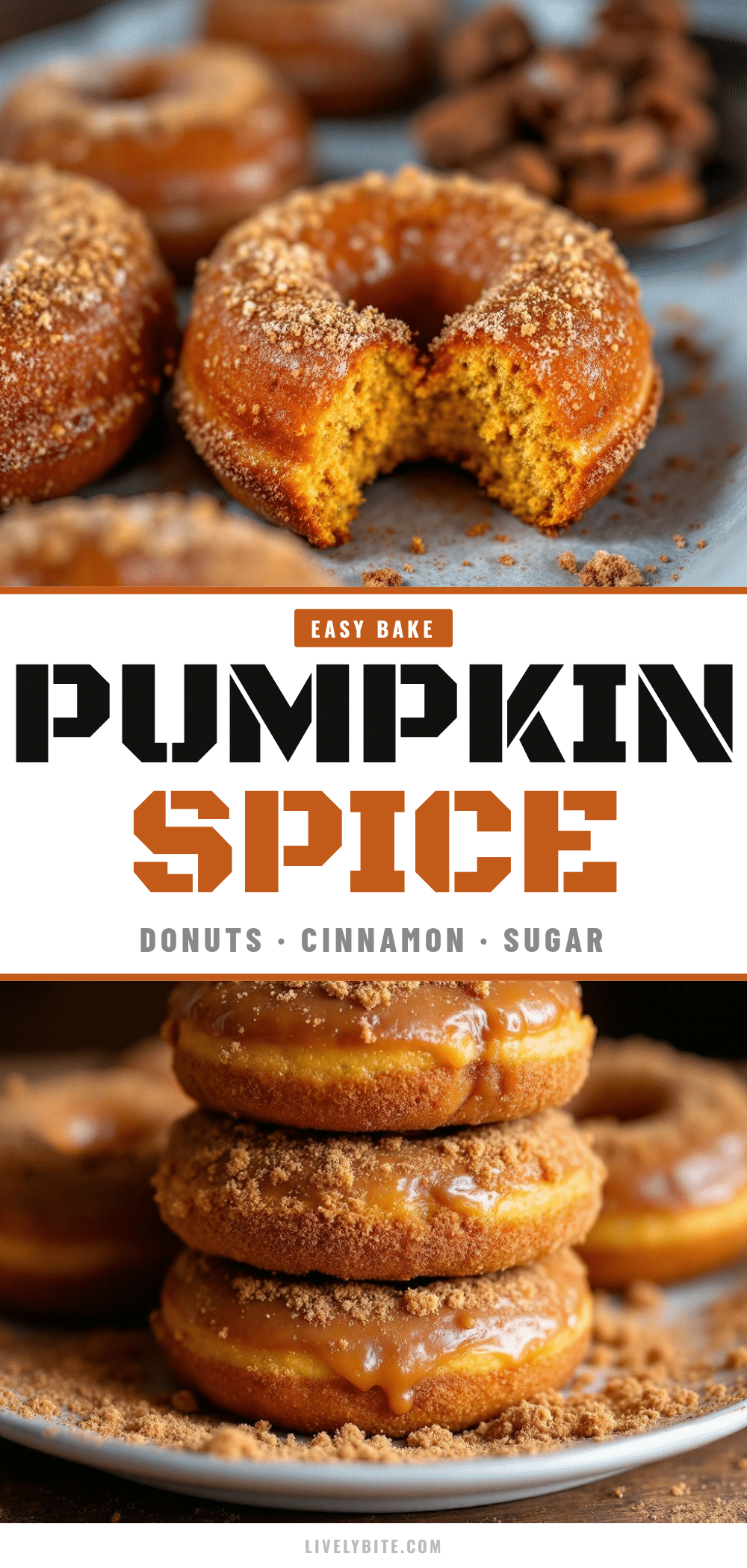 Easy Baked Pumpkin Spice Donuts with Cinnamon Sugar recipe