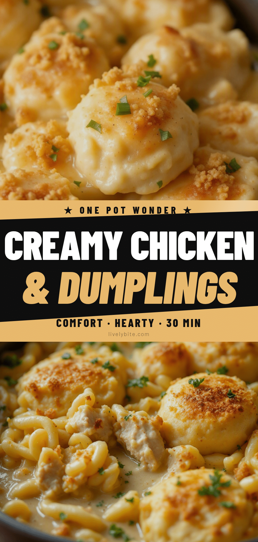 easy homemade chicken and dumplings one pot recipe