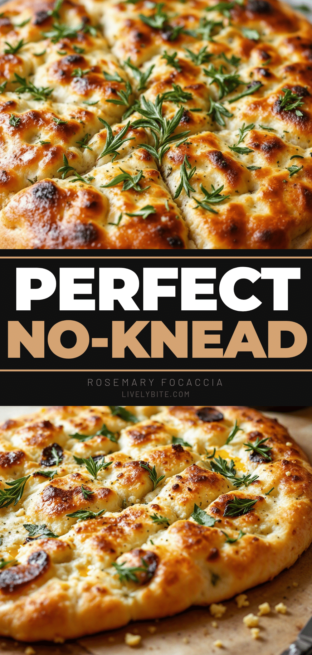 no-knead sourdough focaccia recipe