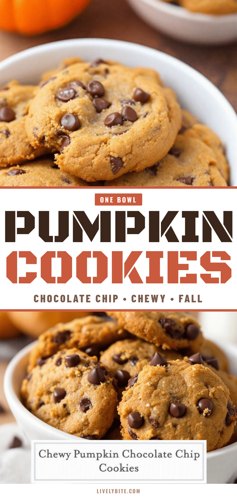 pumpkin chocolate chip cookies recipe