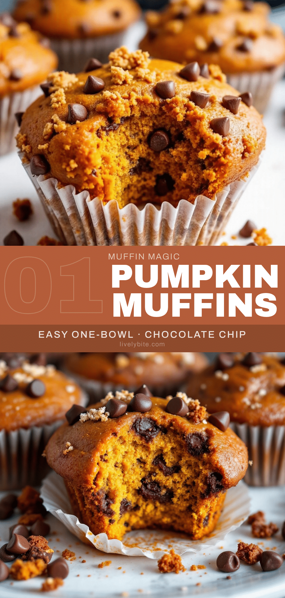 pumpkin chocolate chip muffins recipe