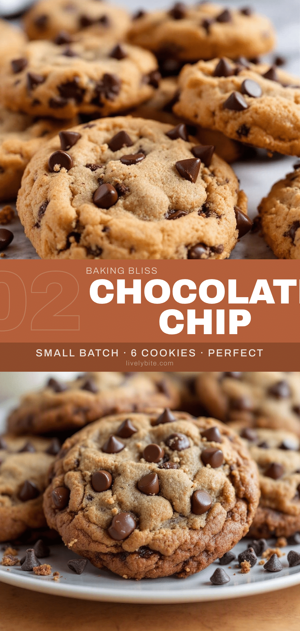 small batch chocolate chip cookies recipe