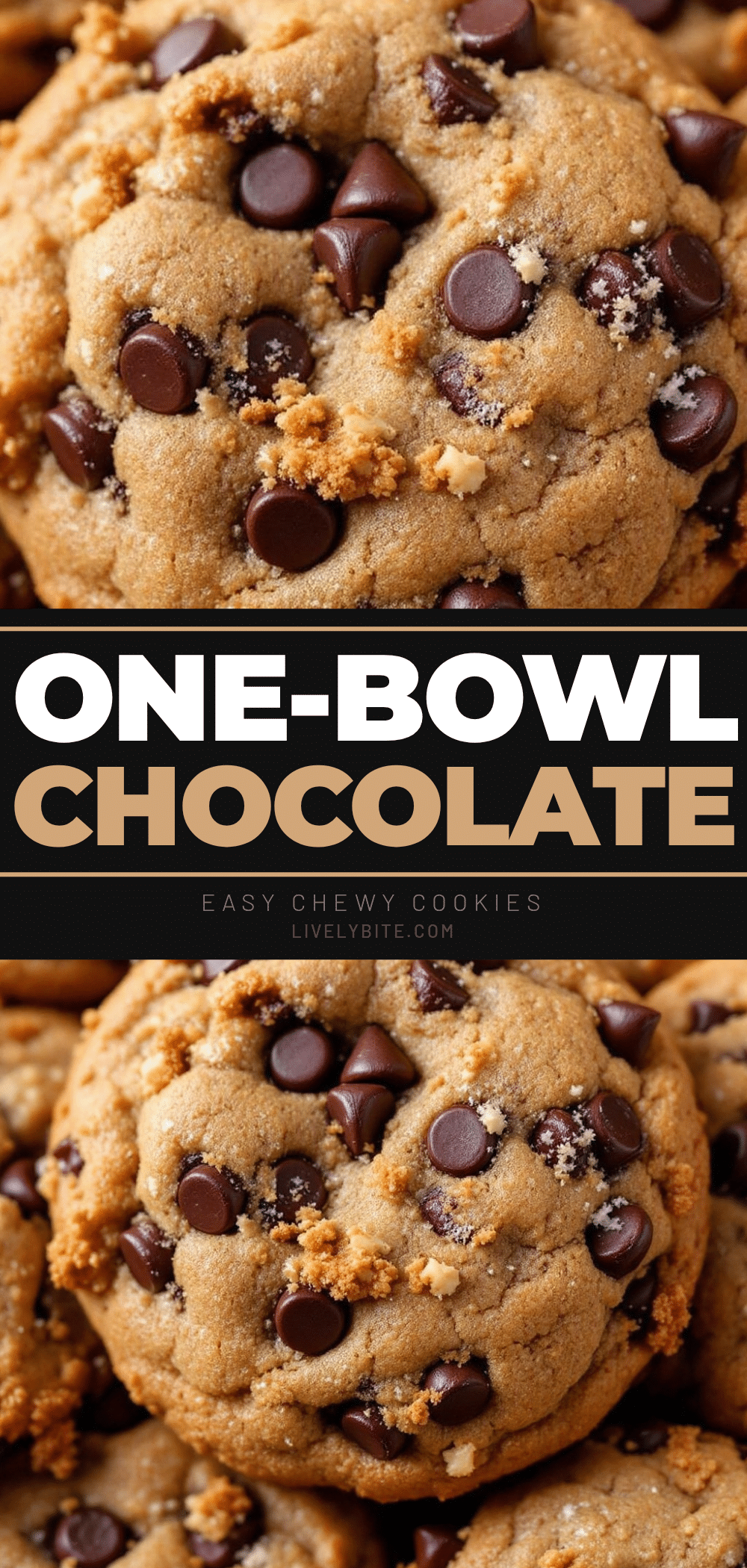 Easy One-Bowl Chocolate Chip Cookies recipe