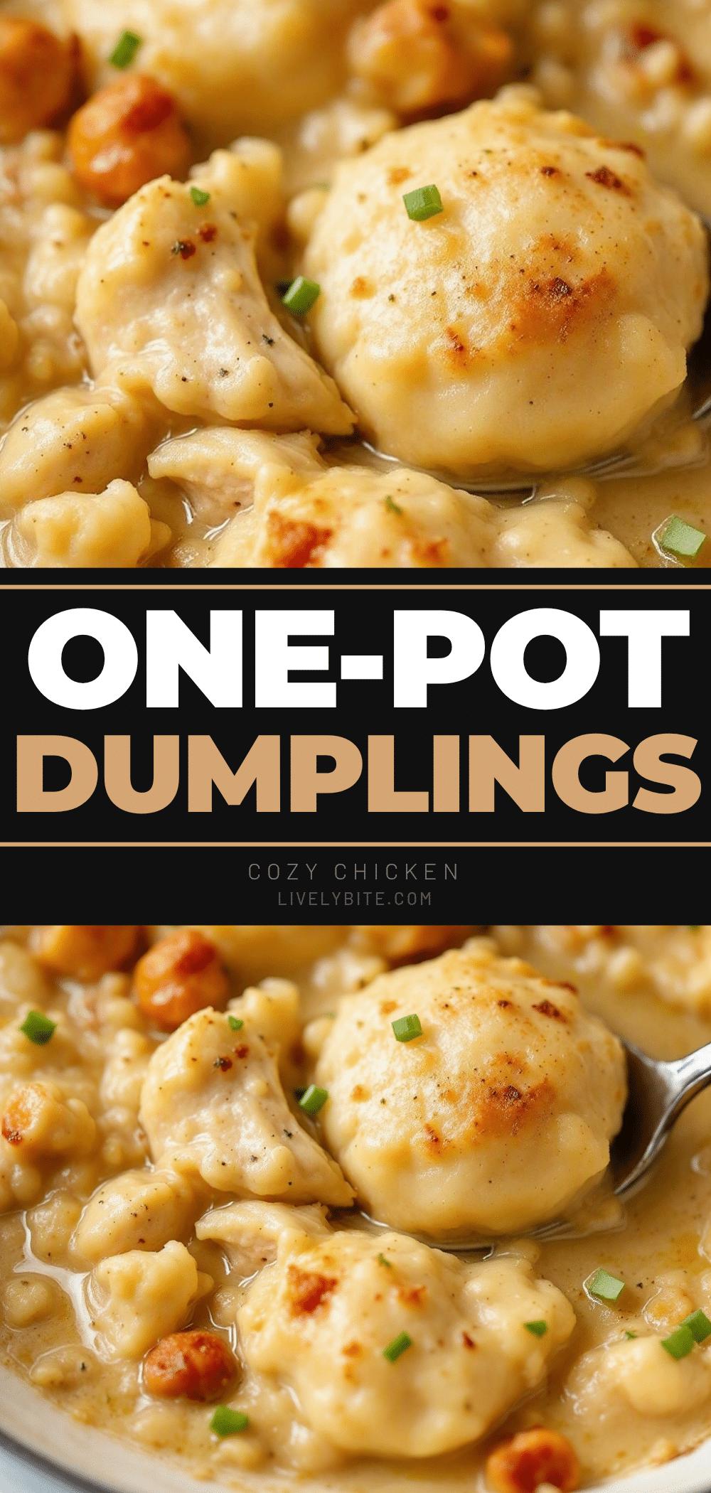 one-pot chicken and dumplings recipe
