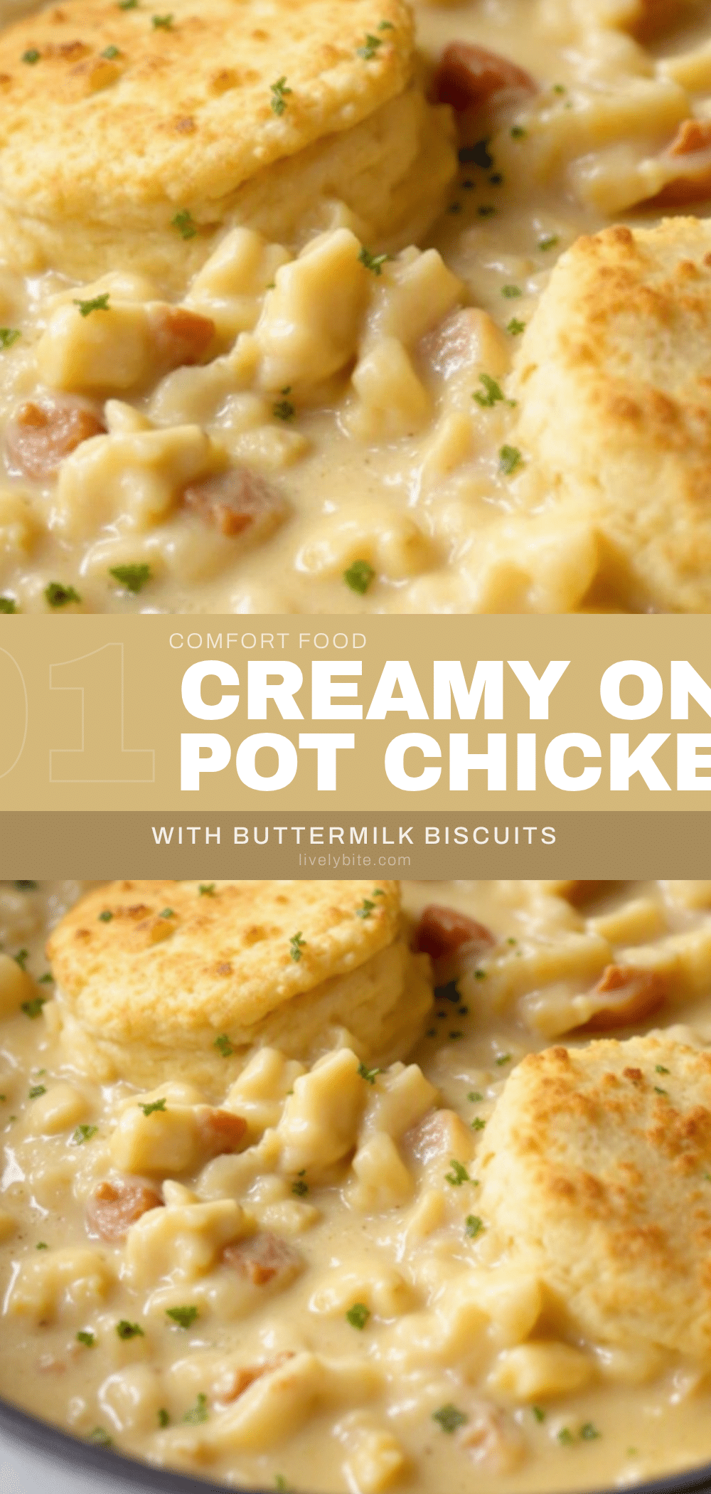 one pot chicken and dumplings recipe