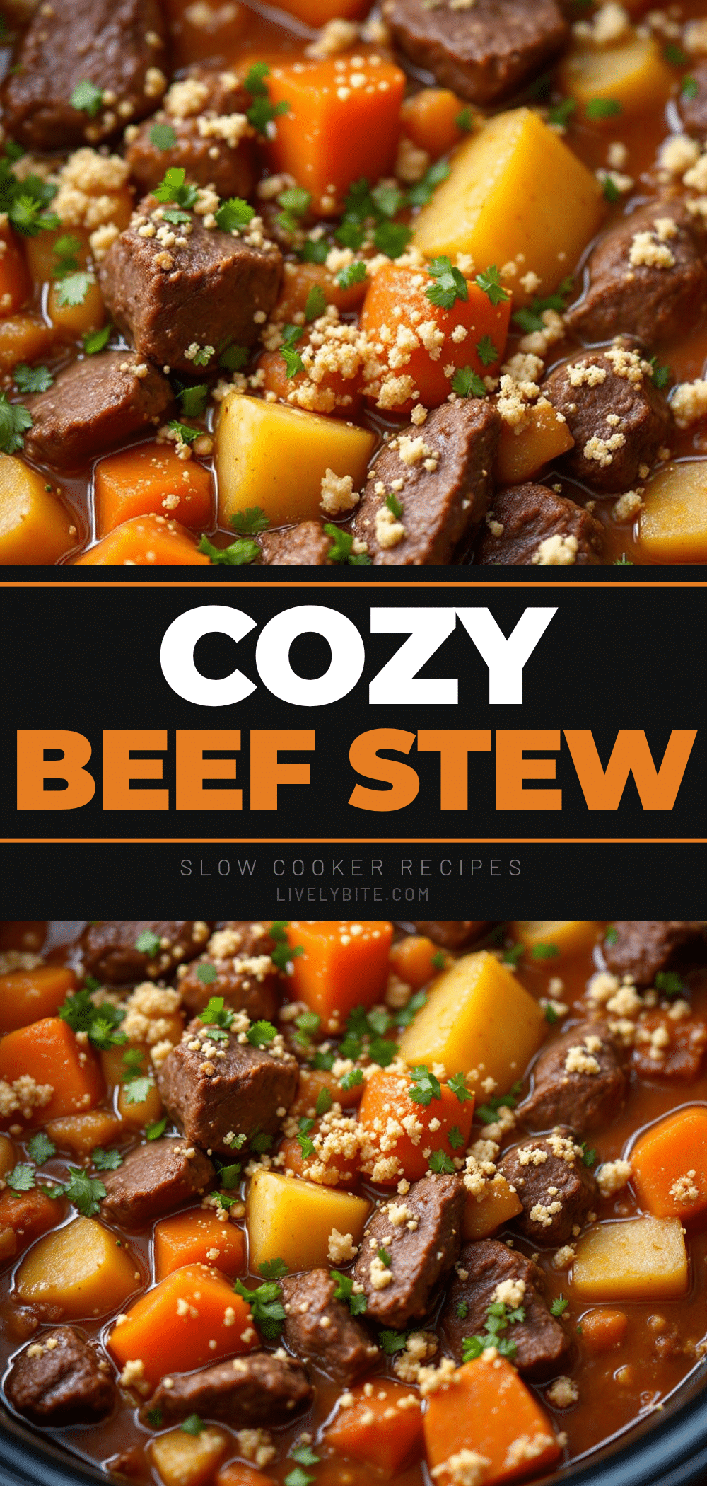 slow cooker beef stew recipe